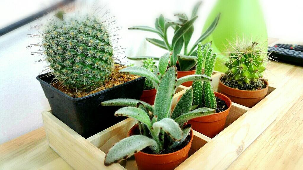בנגקוק Green Home Hostel And Massage מראה חיצוני תמונה